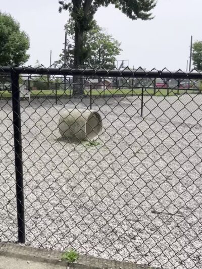 Maywoof Dog Park - Maywood, NJ