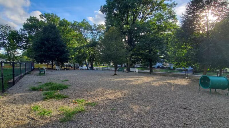 Maywoof Dog Park - Maywood, NJ