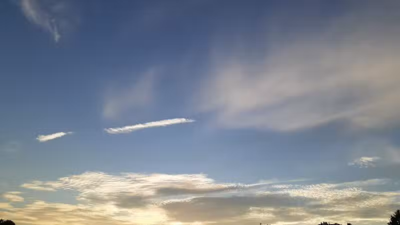 Twelve Pines Park (Southaven Avenue) - Medford, NY