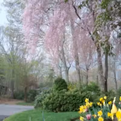 Arboretum Park - Melville, NY