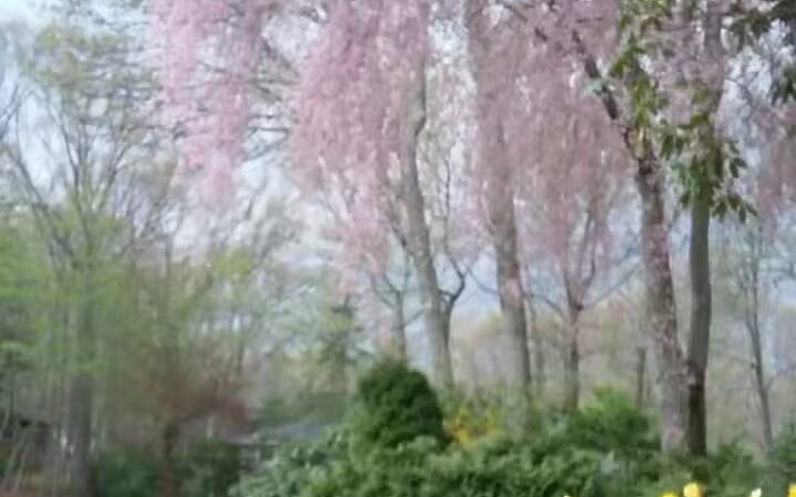 Arboretum Park - Melville, NY