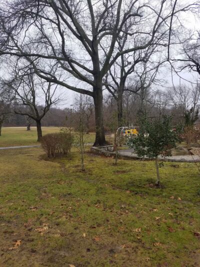 Arboretum Park - Melville, NY