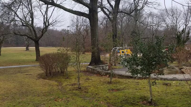 Arboretum Park - Melville, NY