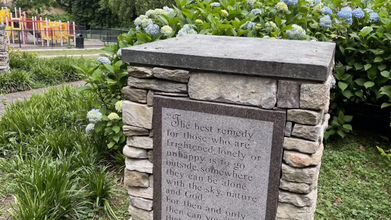 Arboretum Park - Melville, NY
