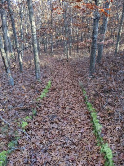 Dr. Jeffrey Wenig Memorial Park - Melville, NY