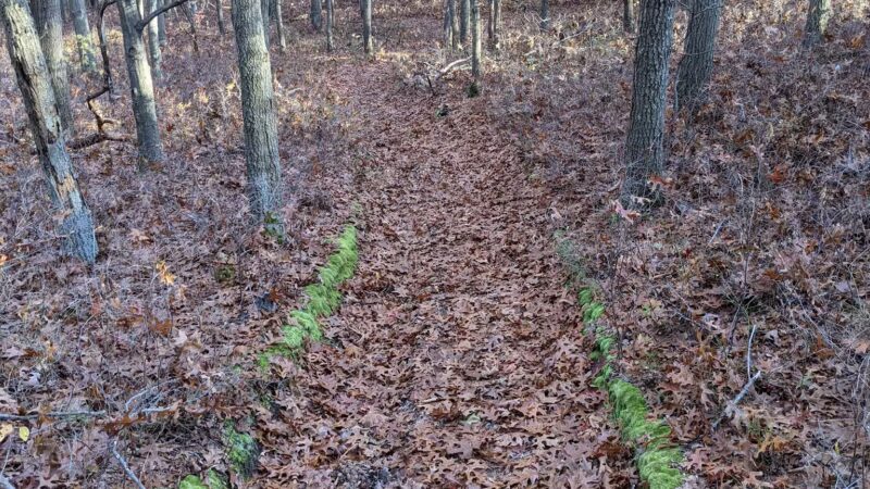 Dr. Jeffrey Wenig Memorial Park - Melville, NY