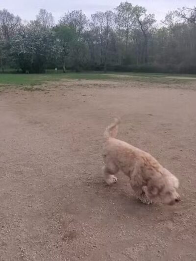 West Hills County Park Parking - Melville, NY
