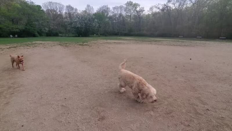 West Hills County Park Parking - Melville, NY