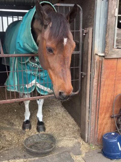 West Hills County Park Parking - Melville, NY