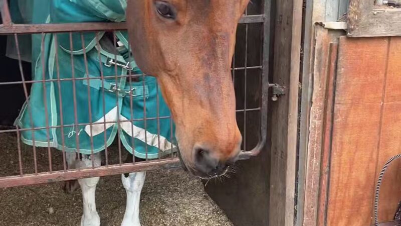 West Hills County Park Parking - Melville, NY