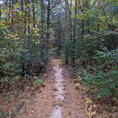 West Hills Nature Preserve - Melville, NY