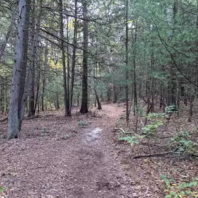 West Hills Nature Preserve - Melville, NY