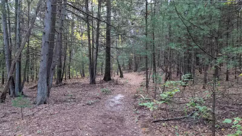 West Hills Nature Preserve - Melville, NY