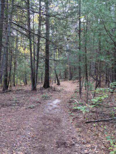 West Hills Nature Preserve - Melville, NY