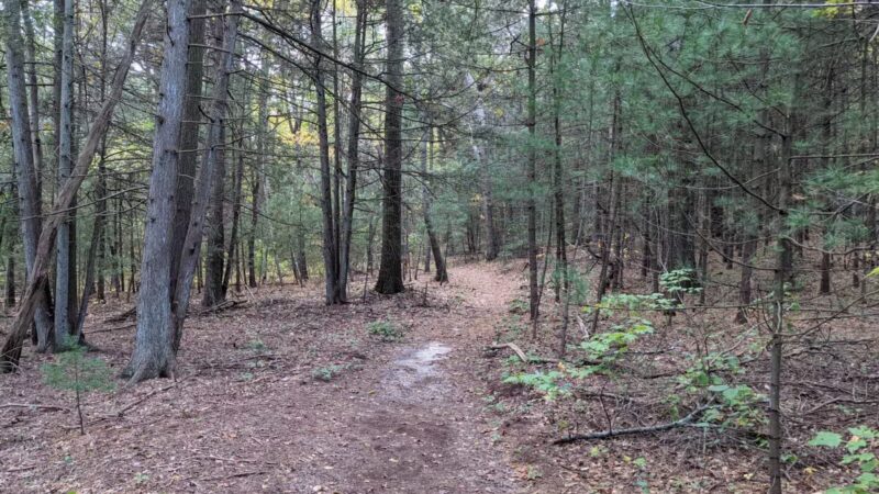 West Hills Nature Preserve - Melville, NY