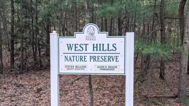 West Hills Nature Preserve - Melville, NY