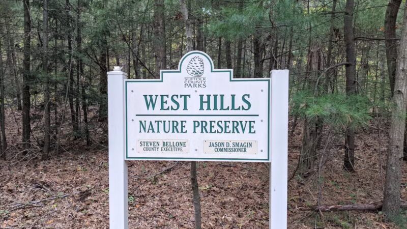 West Hills Nature Preserve - Melville, NY