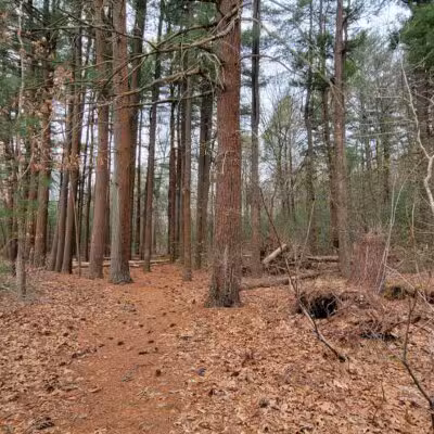 West Hills Preserve Trail Head - Melville, NY
