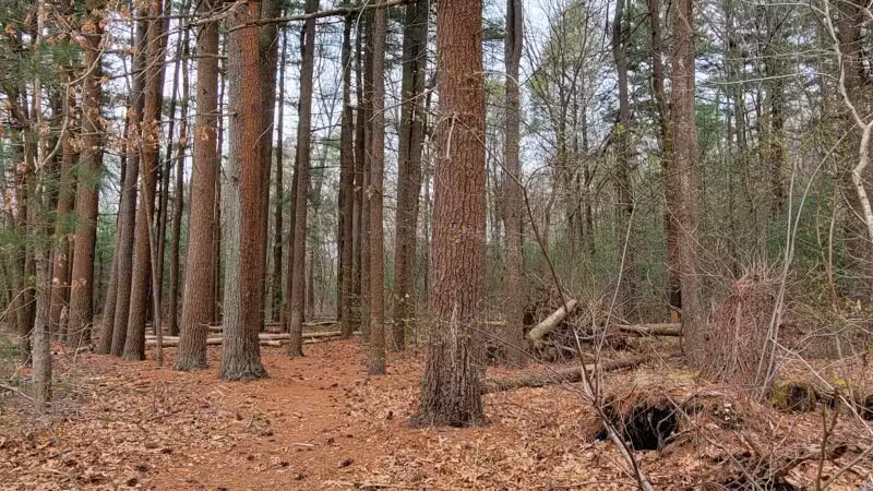 West Hills Preserve Trail Head - Melville, NY