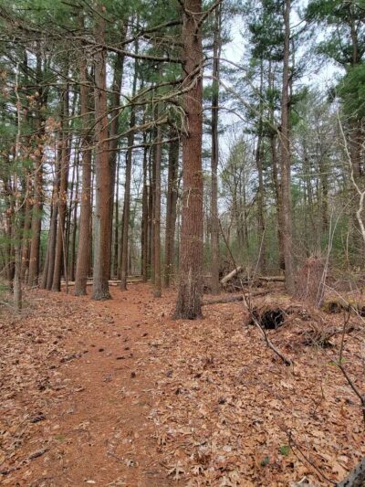 West Hills Preserve Trail Head - Melville, NY