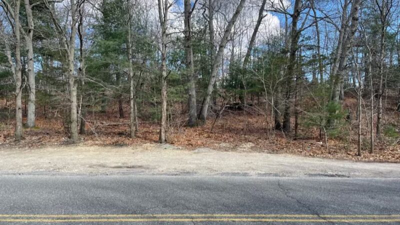 West Hills Preserve Trail Head - Melville, NY