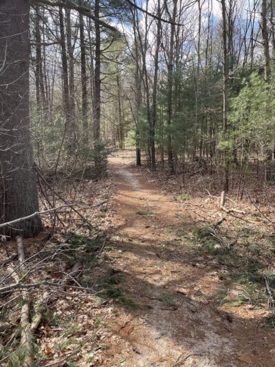 West Hills Preserve Trail Head - Melville, NY