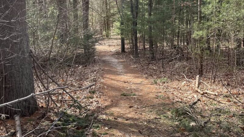 West Hills Preserve Trail Head - Melville, NY