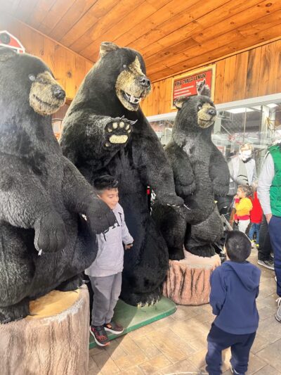 White Post Farms of Melville - Melville, NY