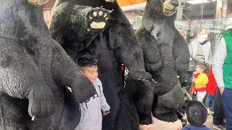 White Post Farms of Melville - Melville, NY