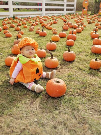 White Post Farms of Melville - Melville, NY