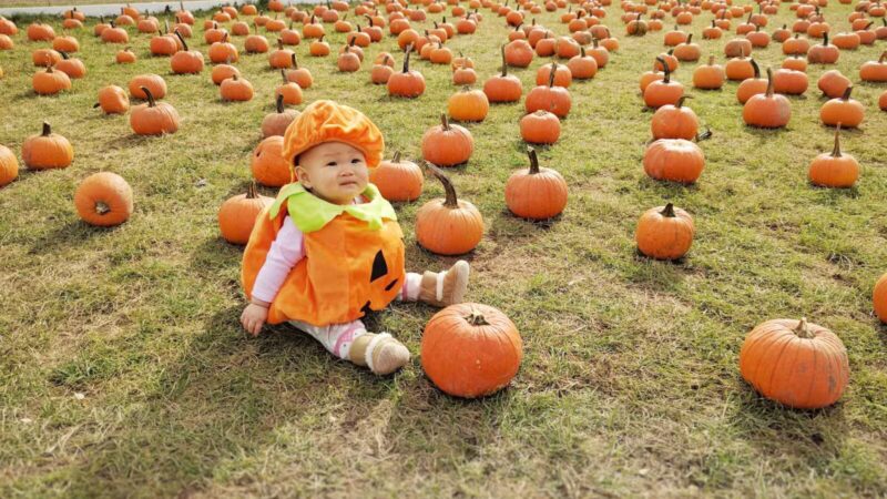 White Post Farms of Melville - Melville, NY