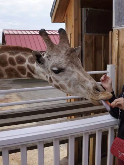 White Post Farms of Melville - Melville, NY
