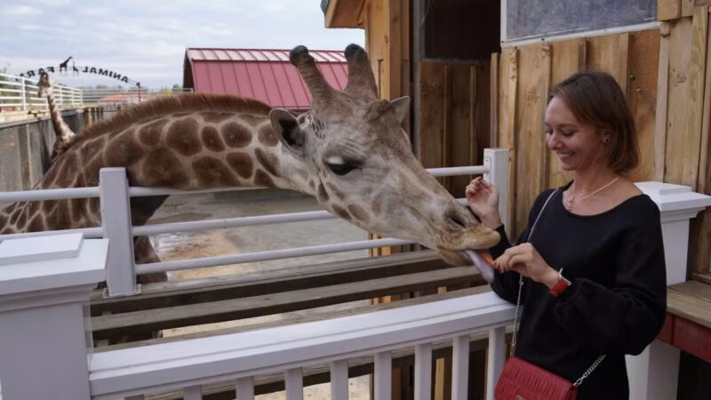 White Post Farms of Melville - Melville, NY