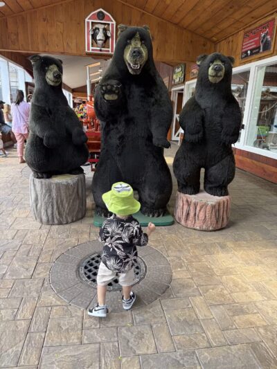 White Post Farms of Melville - Melville, NY