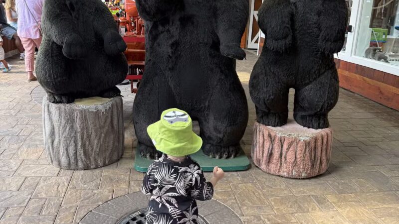 White Post Farms of Melville - Melville, NY