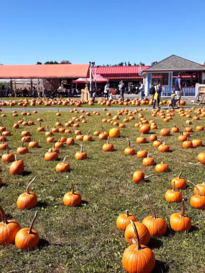 White Post Farms of Melville - Melville, NY