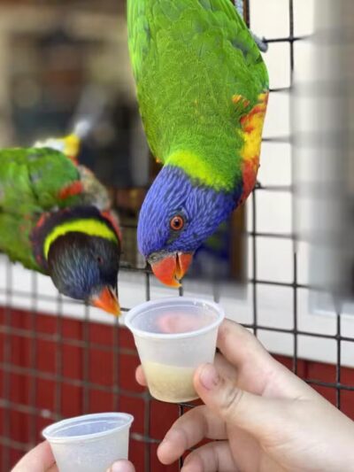 White Post Farms of Melville - Melville, NY
