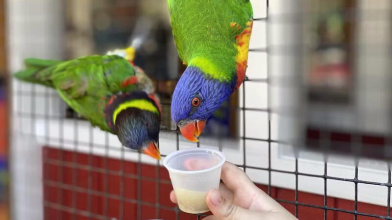 White Post Farms of Melville - Melville, NY