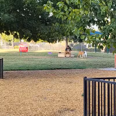 Dog Park - Merced, CA