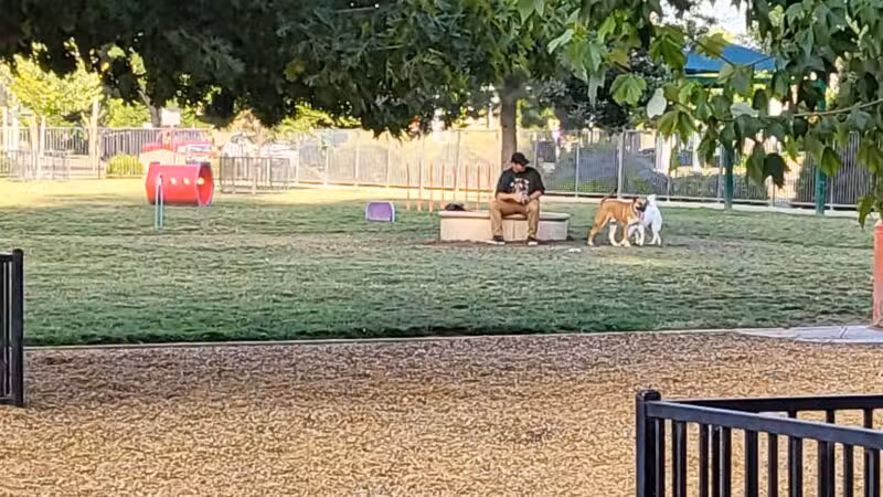Dog Park - Merced, CA