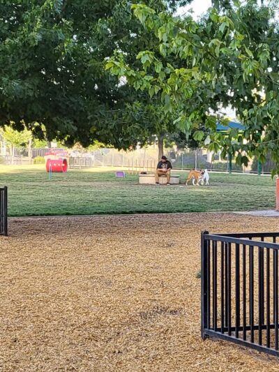 Dog Park - Merced, CA