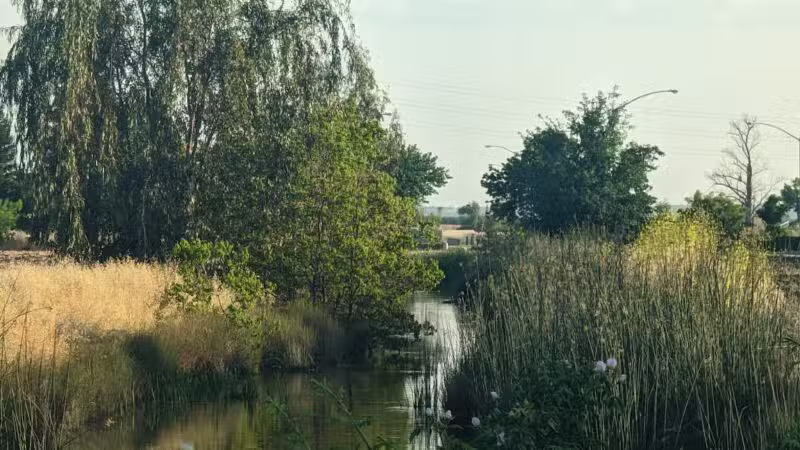 Dog Park - Merced, CA
