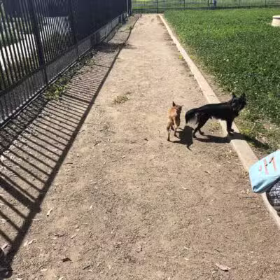 Merced Dog Park - Merced, CA