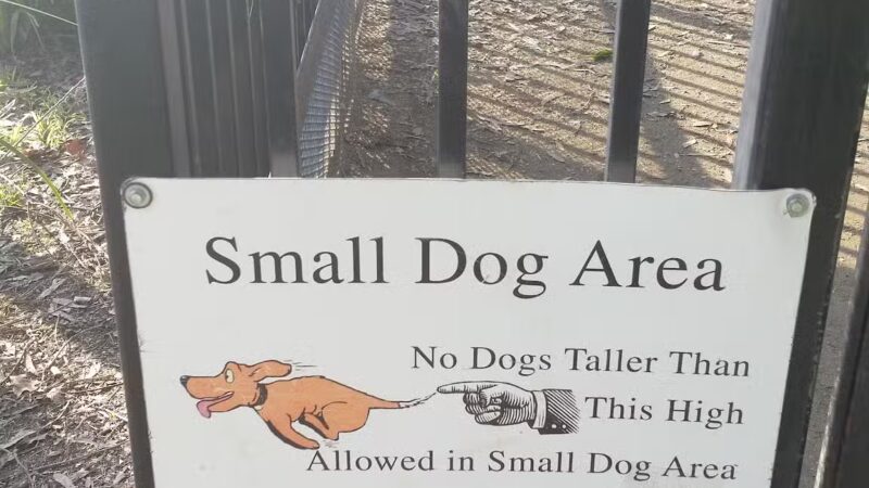 Merced Dog Park - Merced, CA