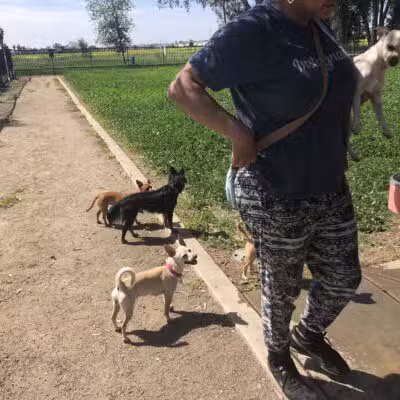 Merced Dog Park - Merced, CA