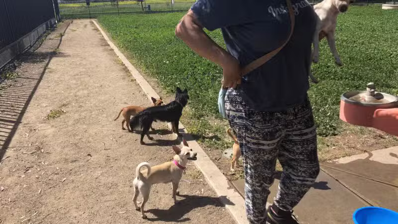 Merced Dog Park - Merced, CA