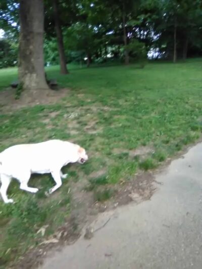 Dark Head Creek Park - Middle River, MD