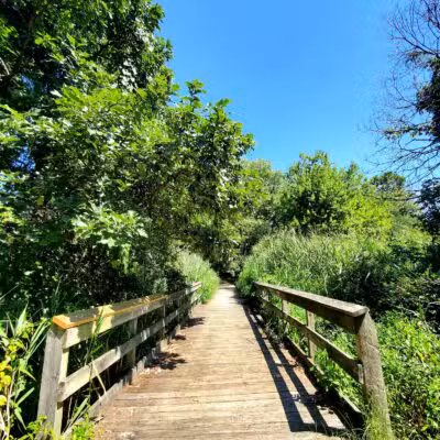 Eastern Regional Park - Middle River, MD