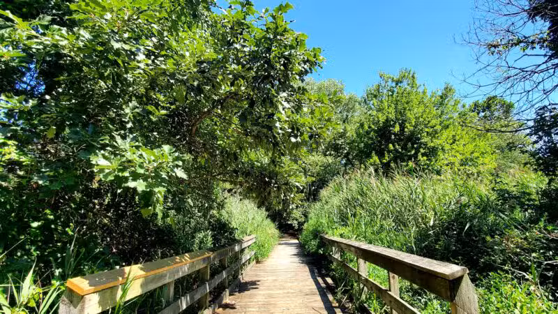 Eastern Regional Park - Middle River, MD