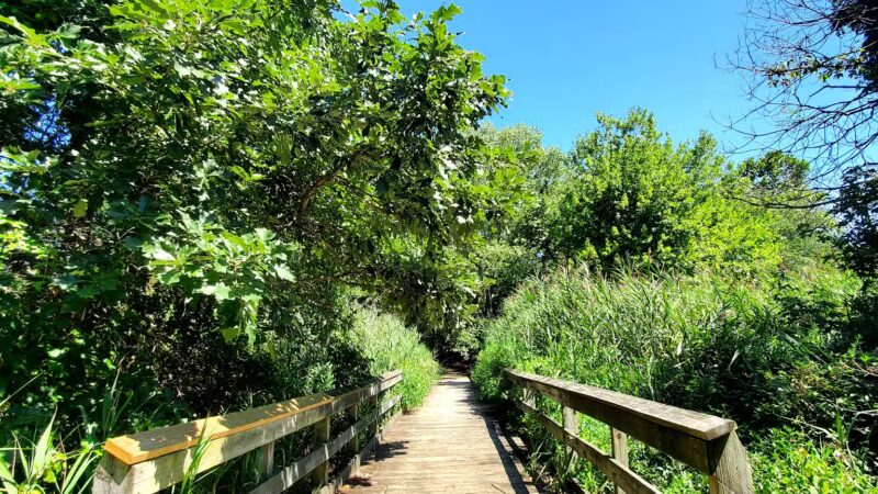 Eastern Regional Park - Middle River, MD